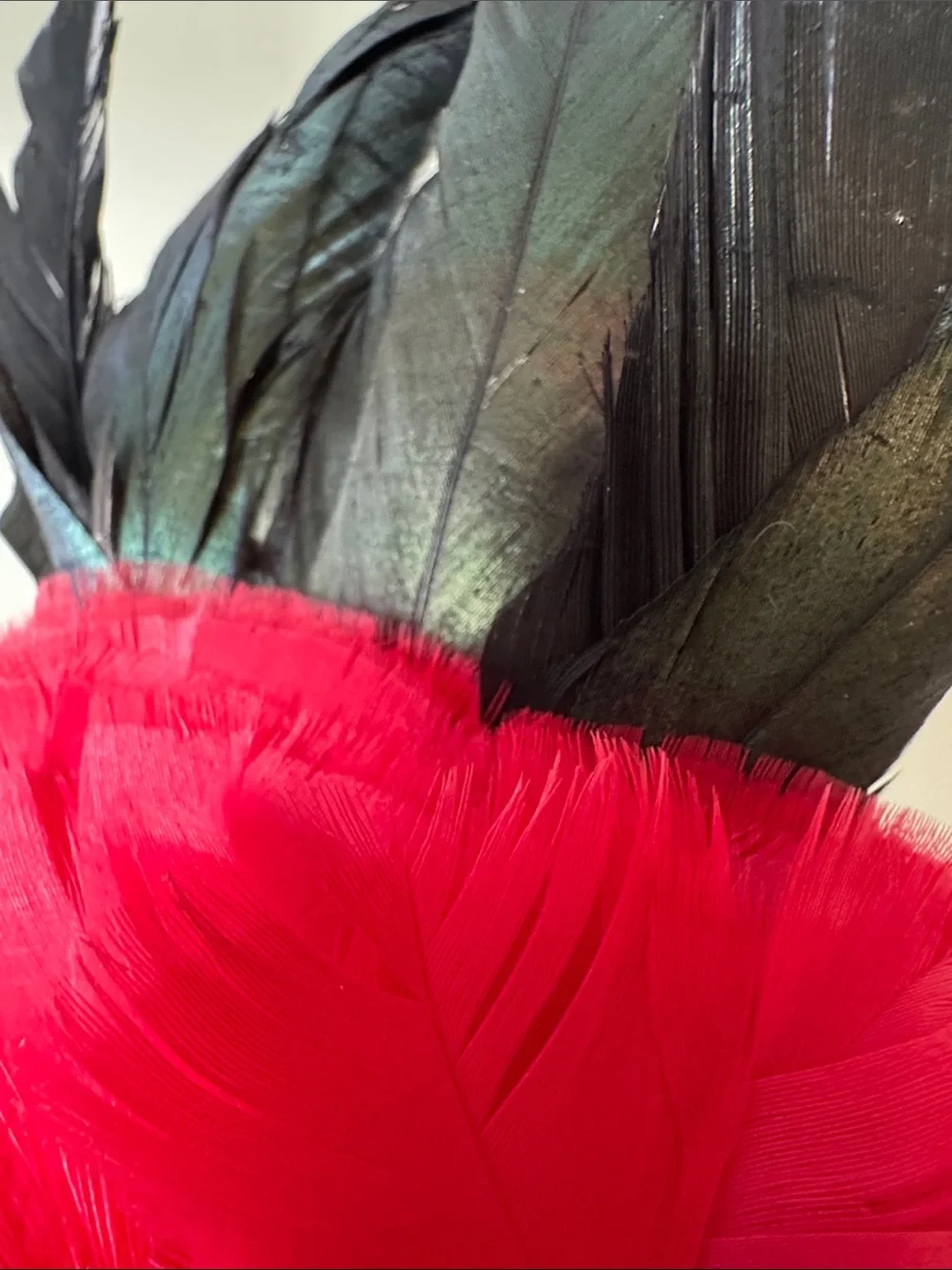 Handmade sequined and feathered mask from New Orleans.